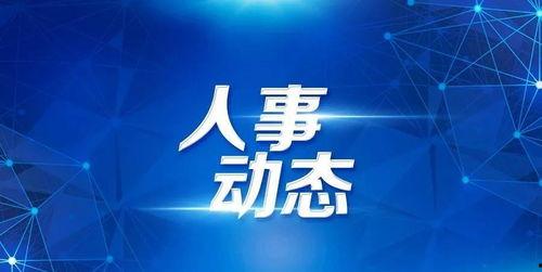 海头条,聚焦海洋动态，解码蓝色经济新篇章