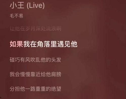 正能量推广明星文案,明星风采助力梦想起航