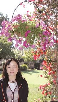 孙曼明星,星光璀璨的演艺之路