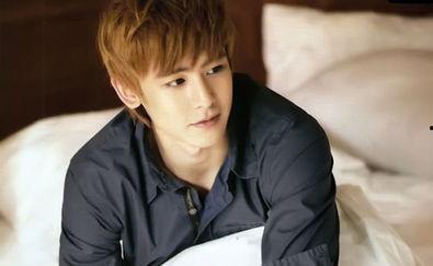 张文杰明星,星光璀璨的演艺之路