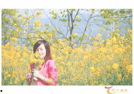 春天里全集在线观看,全景呈现我国春日风情