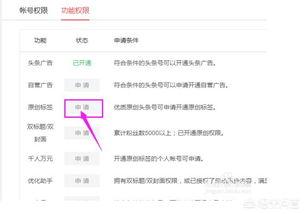 网上看自己的头条文章,探寻网络世界的热点与趋势
