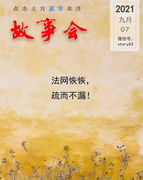 辞掉工作在头条创作,开启头条创作新篇章